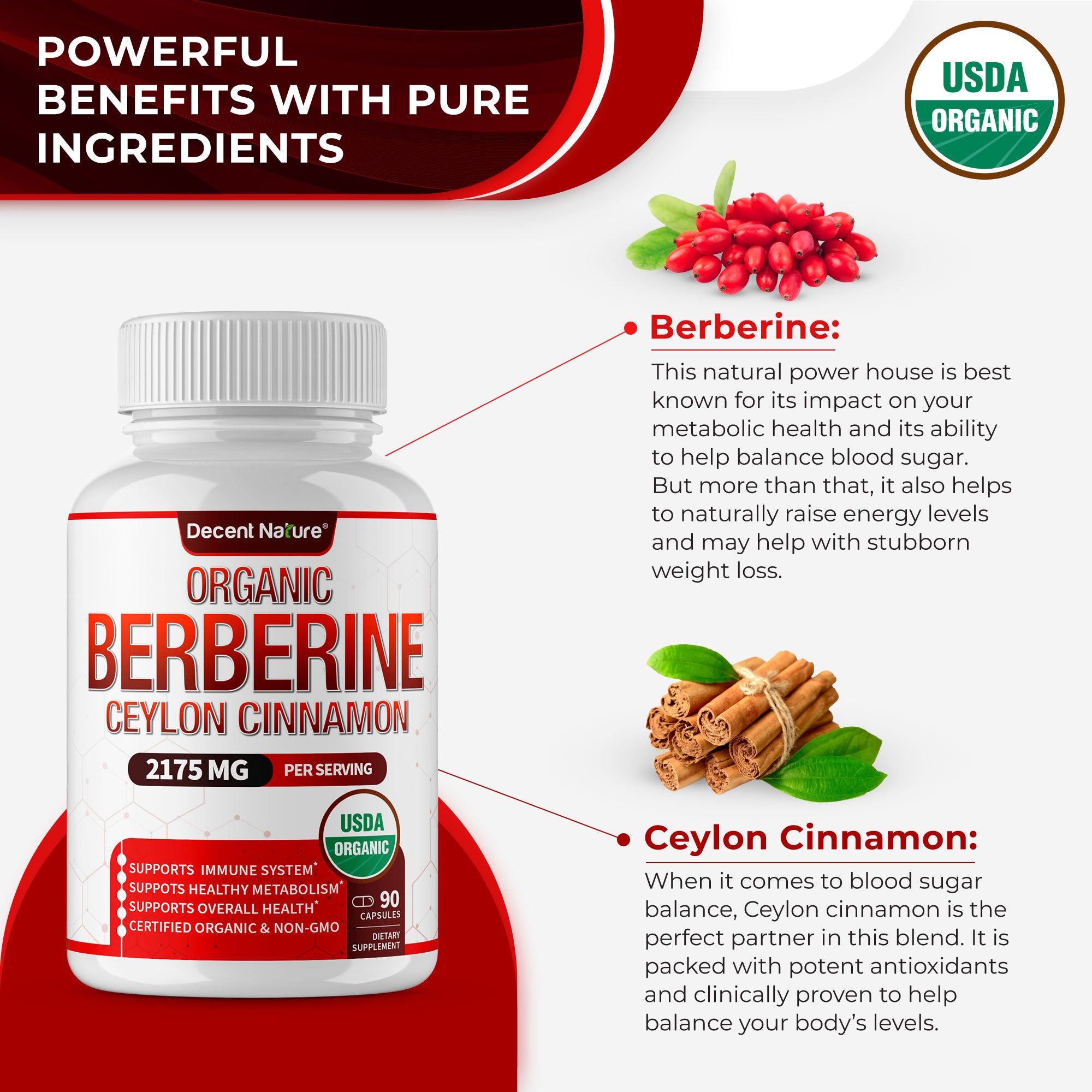Organic Berberine with Ceylon Cinnamon – Decent Nature